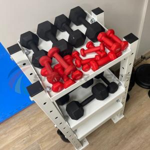 Купить Модульный стеллаж для гантелей, гирь  600х470х1160 в Семикаракорске 